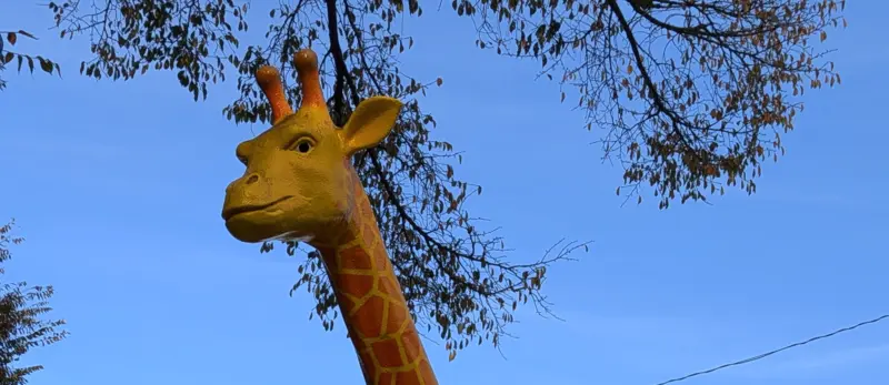宇都宮動物園に行く会